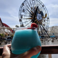 The Ultimate Guide to Bringing Your Own Food and Drinks to Festivals in Los Angeles County