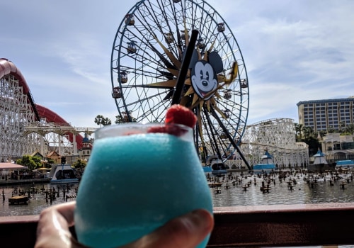 The Ultimate Guide to Bringing Your Own Food and Drinks to Festivals in Los Angeles County